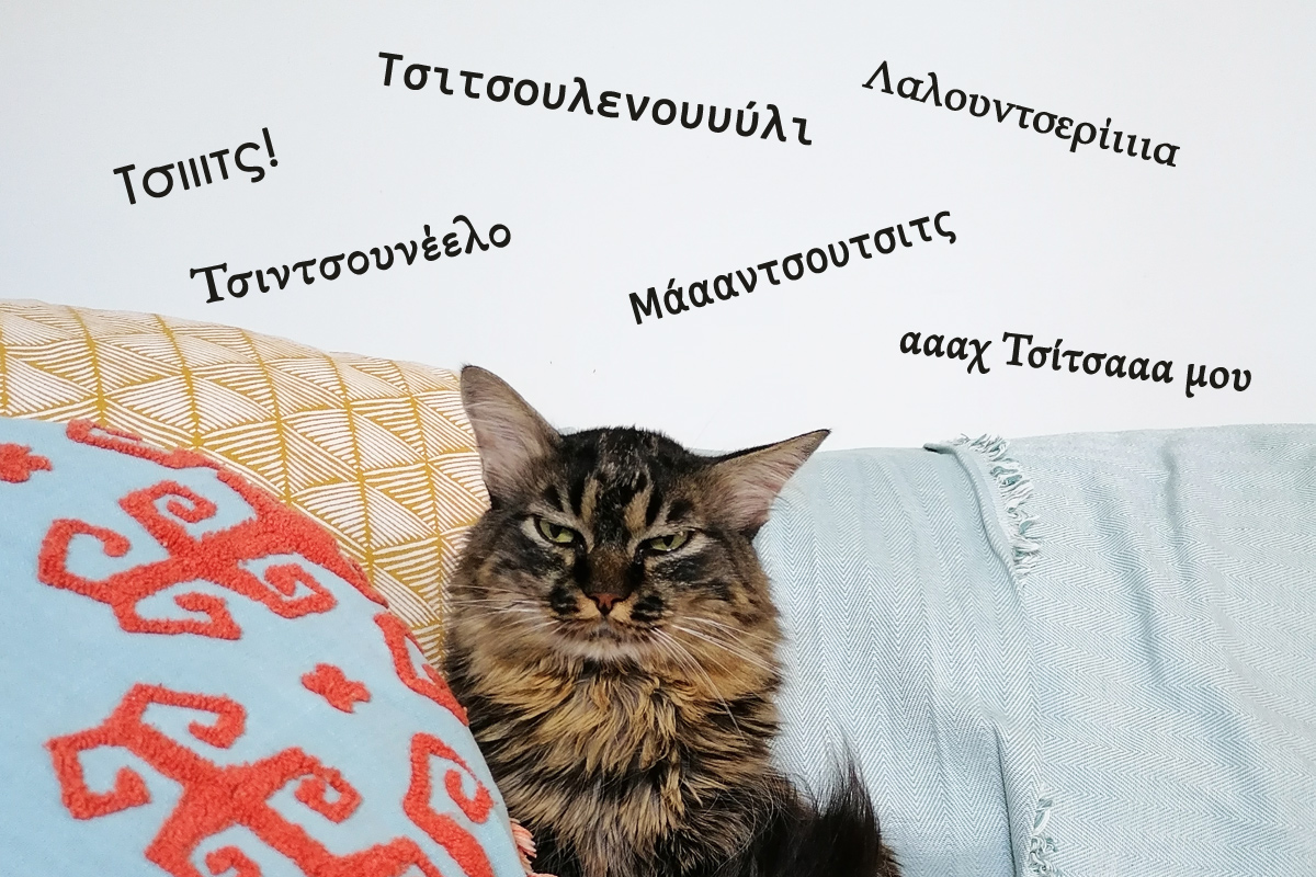 19 ιδέες για τα πιο τέλεια ονόματα γάτας